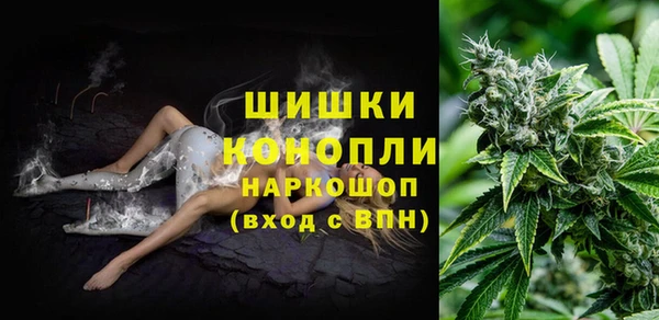 дурь Кинешма